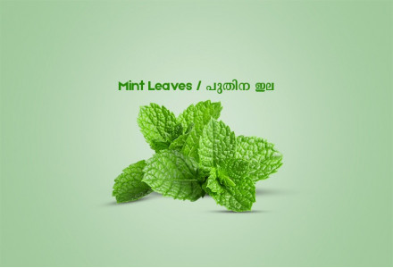 Mint Leaves / പുതിന ഇല - 50gm